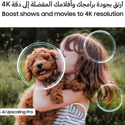 Samsung 55 Inch S90F OLED 4K Vision AI Smart TV 55S90F
