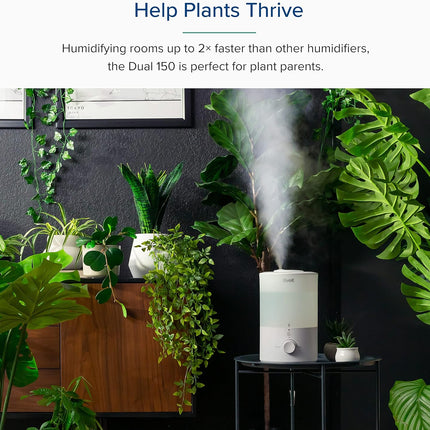 Levoit LUH-291 Ultrasonic Cool Mist Humidifier with Essential Oil Diffuser